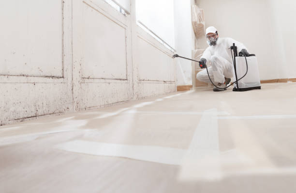 24/7 Emergency Bathroom Mold Removal experts in Rosedale, WA